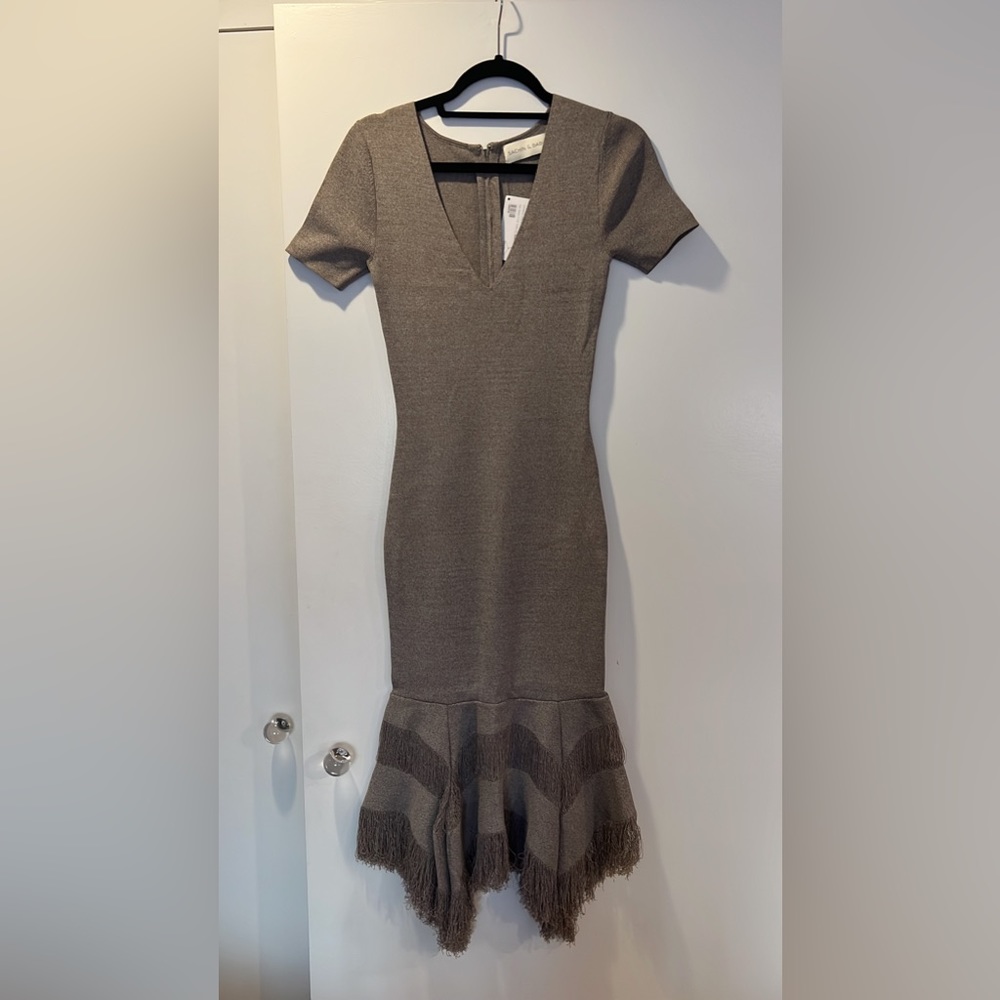 Sachin + Babi knit fringe dress. 1 size
